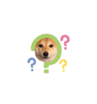 柴犬 こうめちゃん②♡敬語編（個別スタンプ：32）