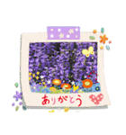 お花の写真のスタンプです。（個別スタンプ：1）