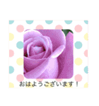 お花の写真のスタンプです。（個別スタンプ：5）