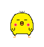 マネクラのピヨ（個別スタンプ：1）