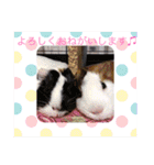 もるもっとな日々（個別スタンプ：9）