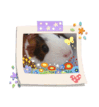 もるもっとな日々（個別スタンプ：15）