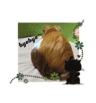 もるもっとな日々（個別スタンプ：21）
