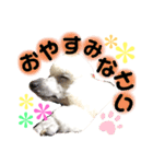 癒しの愛犬＊（個別スタンプ：4）