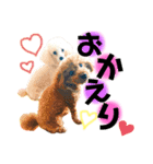 癒しの愛犬＊（個別スタンプ：6）