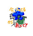 ネモフィラちゃんとフルート（個別スタンプ：16）