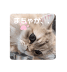 ゆちまるすたんぷ（個別スタンプ：6）