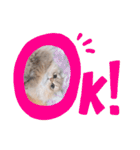 ゆちまるすたんぷ（個別スタンプ：11）