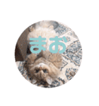 ゆちまるすたんぷ（個別スタンプ：15）