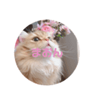 ゆちまるすたんぷ（個別スタンプ：17）