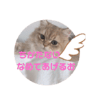 ゆちまるすたんぷ（個別スタンプ：21）