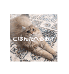 ゆちまるすたんぷ（個別スタンプ：25）