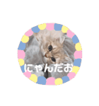 ゆちまるすたんぷ（個別スタンプ：31）