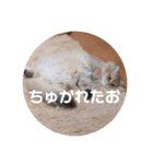 ゆちまるすたんぷ（個別スタンプ：32）