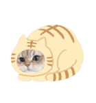 ゆちまるすたんぷ（個別スタンプ：38）