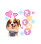 たれみみ、ここたん。2（個別スタンプ：8）