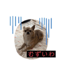 家族に乾杯やでぇ（個別スタンプ：20）
