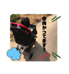 キャバリアのカール君（個別スタンプ：23）