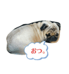 リッチョその2（個別スタンプ：6）
