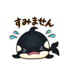 どうまる。2（個別スタンプ：9）