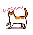 ネコのしろ 日常（個別スタンプ：7）