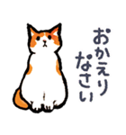 ネコのしろ 日常（個別スタンプ：9）