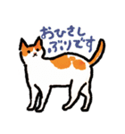 ネコのしろ 日常（個別スタンプ：11）