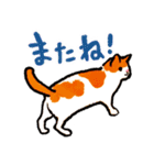 ネコのしろ 日常（個別スタンプ：12）