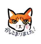 ネコのしろ 日常（個別スタンプ：13）