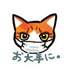 ネコのしろ 日常（個別スタンプ：15）