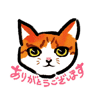 ネコのしろ 日常（個別スタンプ：16）