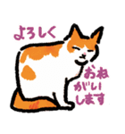 ネコのしろ 日常（個別スタンプ：17）
