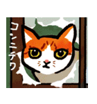 ネコのしろ 日常（個別スタンプ：19）