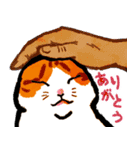 ネコのしろ 日常（個別スタンプ：20）