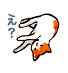 ネコのしろ 日常（個別スタンプ：26）