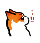 ネコのしろ 日常（個別スタンプ：27）