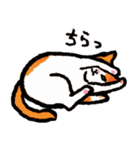 ネコのしろ 日常（個別スタンプ：28）