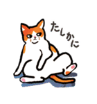 ネコのしろ 日常（個別スタンプ：31）