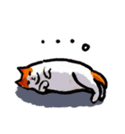 ネコのしろ 日常（個別スタンプ：34）