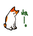 ネコのしろ 日常（個別スタンプ：35）