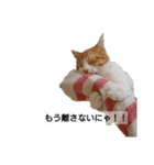 猫のリンシャンくん（個別スタンプ：15）
