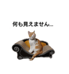 猫のリンシャンくん（個別スタンプ：20）