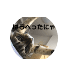 ぐーちゃんスタンプ1！！（個別スタンプ：2）