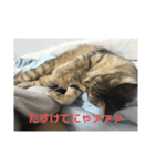 ぐーちゃんスタンプ1！！（個別スタンプ：7）