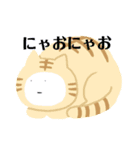 ねむみん共和国（個別スタンプ：3）