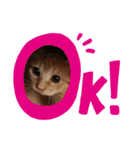 猫のスタンプ ちーちゃん2（個別スタンプ：8）