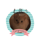 猫のスタンプ ちーちゃん2（個別スタンプ：10）
