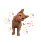 猫のスタンプ ちーちゃん2（個別スタンプ：11）