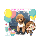 トイプーくるみのスタンプPart4（個別スタンプ：3）