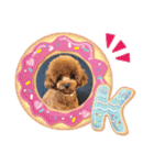 トイプーくるみのスタンプPart4（個別スタンプ：8）